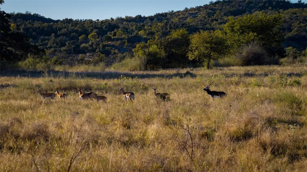 7702 Ranch Road 965 Llano TX 78624