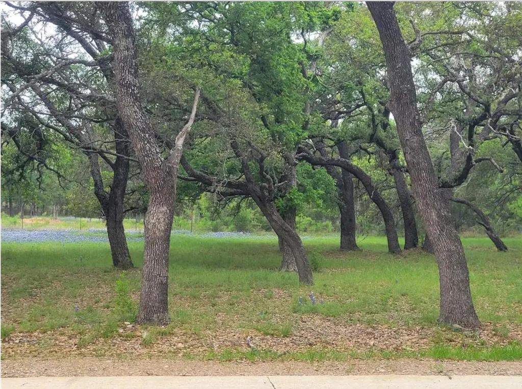 208 Cactus Corner Horseshoe Bay TX 78657