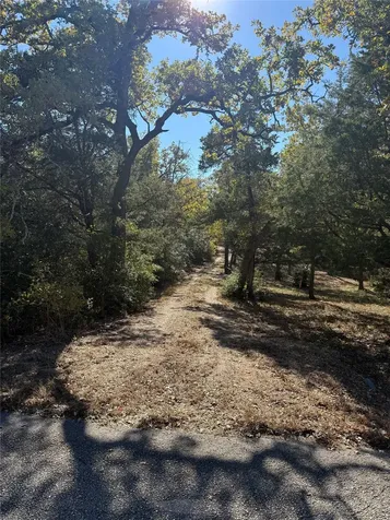 628 Leisure Lane Cedar Creek TX 78612