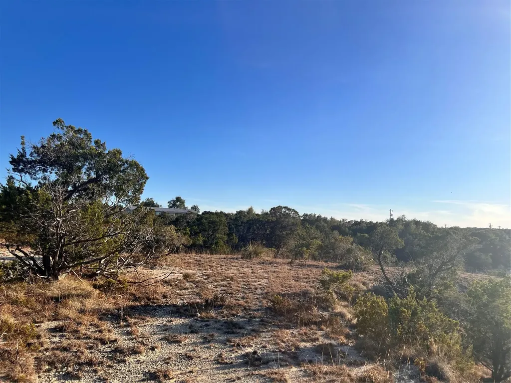 1008 Bell Springs Road Dripping Springs TX 78620