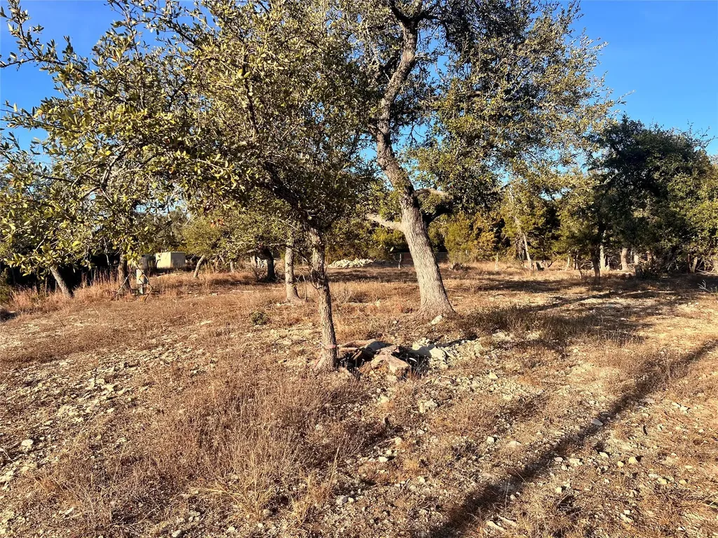 1008 Bell Springs Road Dripping Springs TX 78620