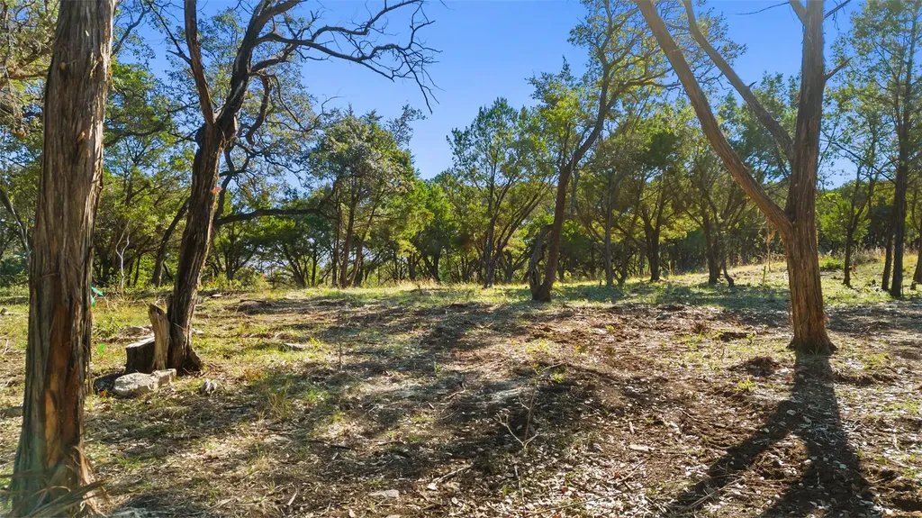 2 Martelli Lane Austin TX 78746