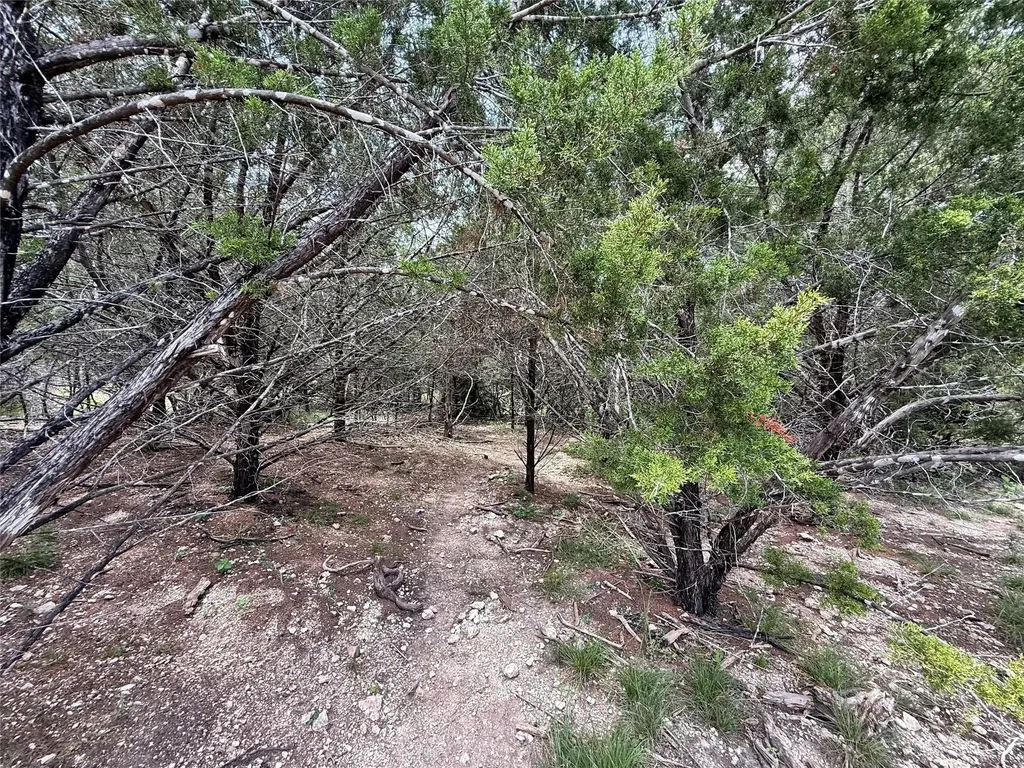 1709 Long Bow Drive Leander TX 78641