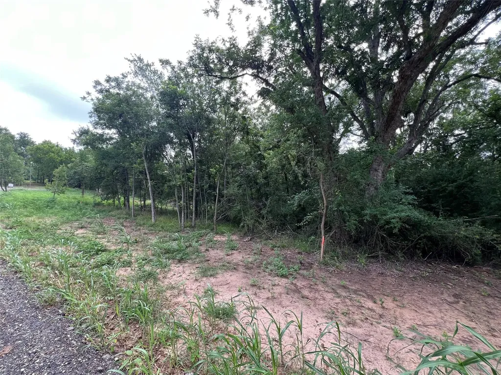 Tbd Fm 3000 Tract 2 Elgin TX 78621