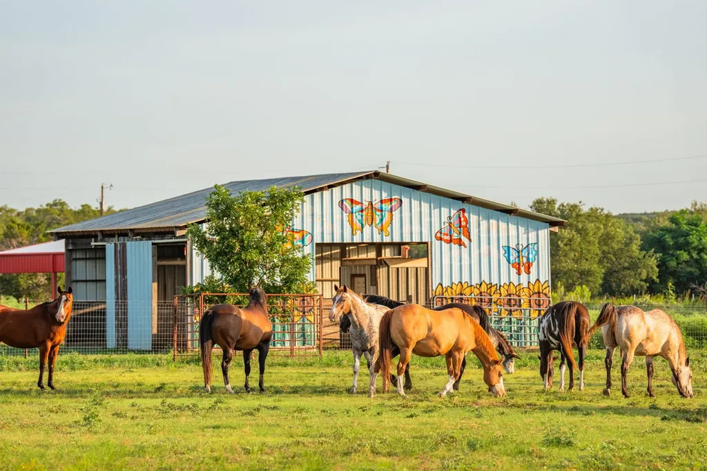 2055 Cr 284 Liberty Hill TX 78642
