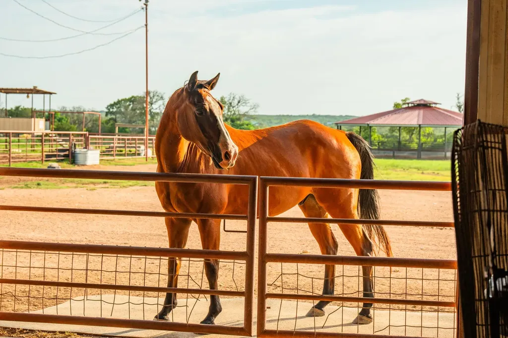 2055 Cr 284 Liberty Hill TX 78642