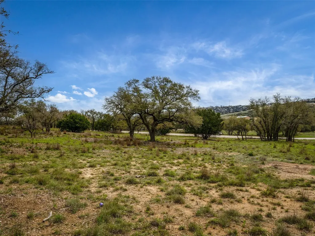 Lot 66 Majestic Hills Drive Blanco TX 78606