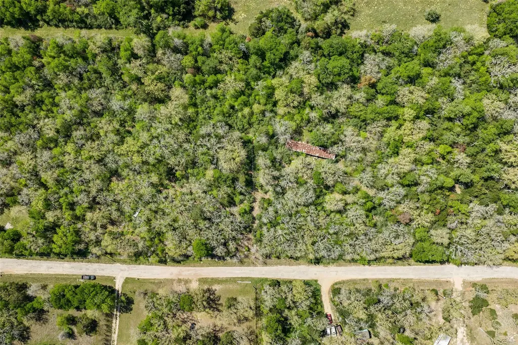 1156 Deerwood Drive Elgin TX 78621