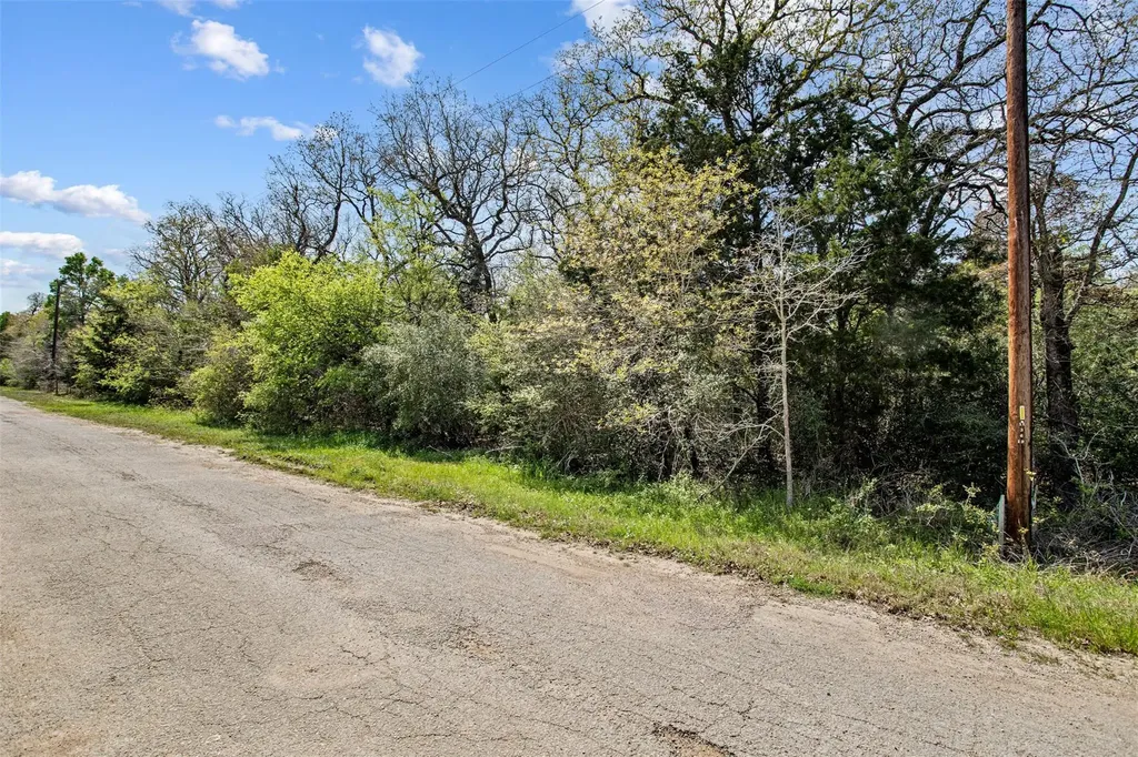 1156 Deerwood Drive Elgin TX 78621