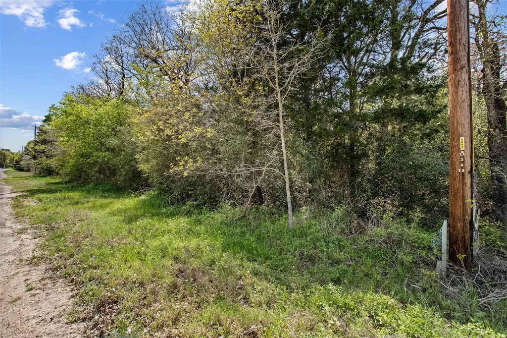 1156 Deerwood Drive Elgin TX 78621