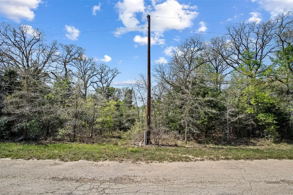 1156 Deerwood Drive Elgin TX 78621