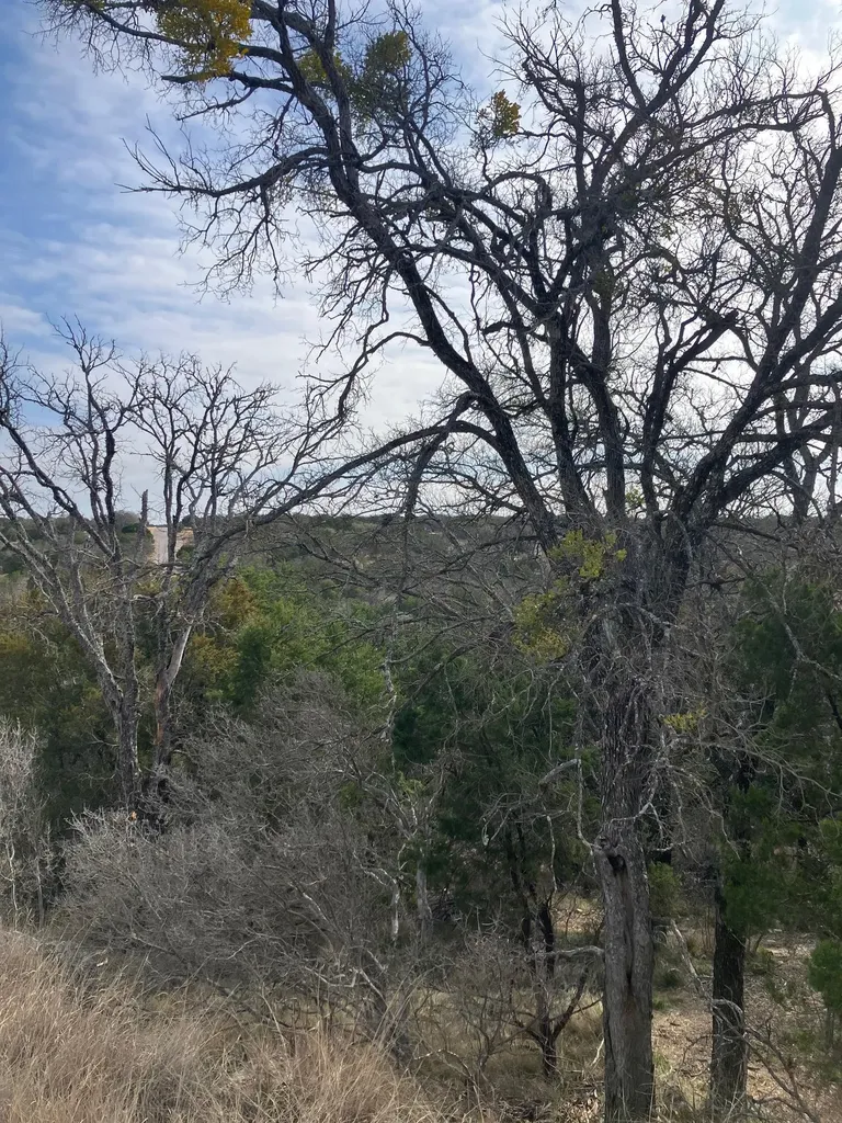 27125 Hi Mesa Horseshoe Bay TX 78657