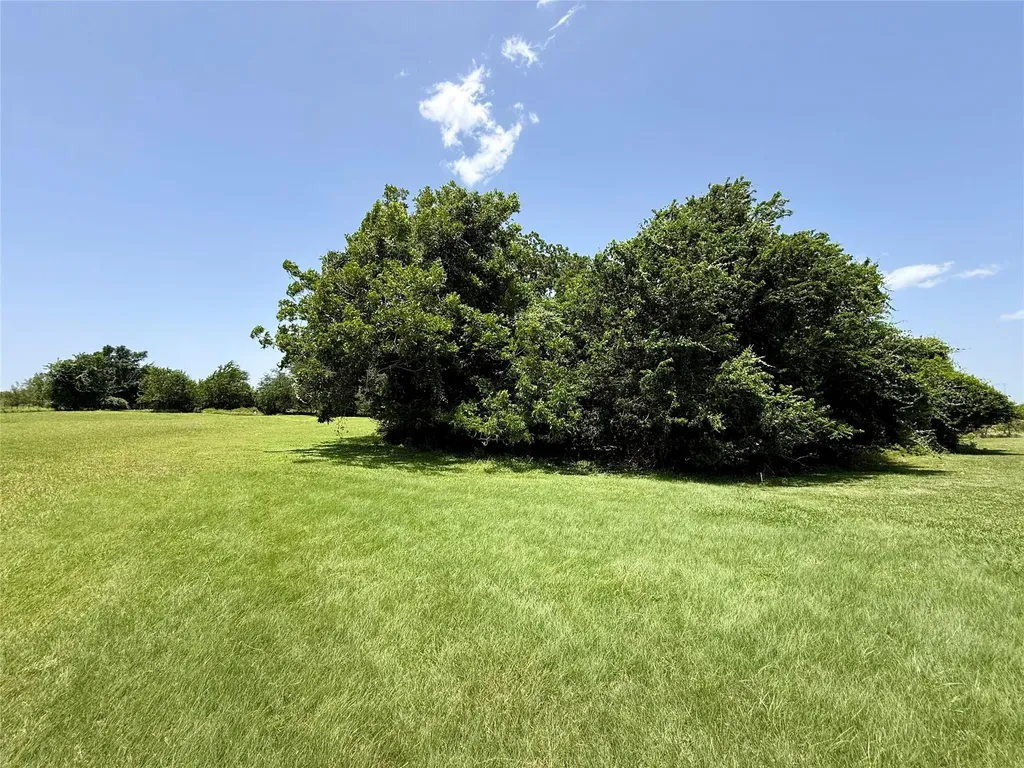 1629 Pecos Street Lockhart TX 78644