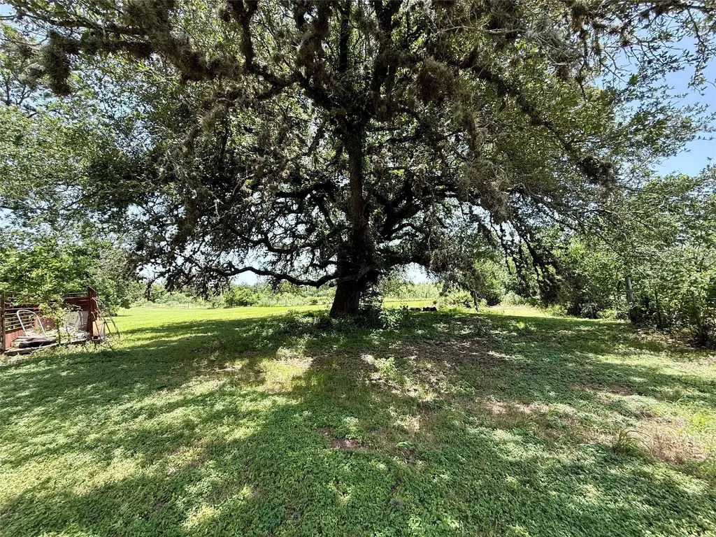 1629 Pecos Street Lockhart TX 78644