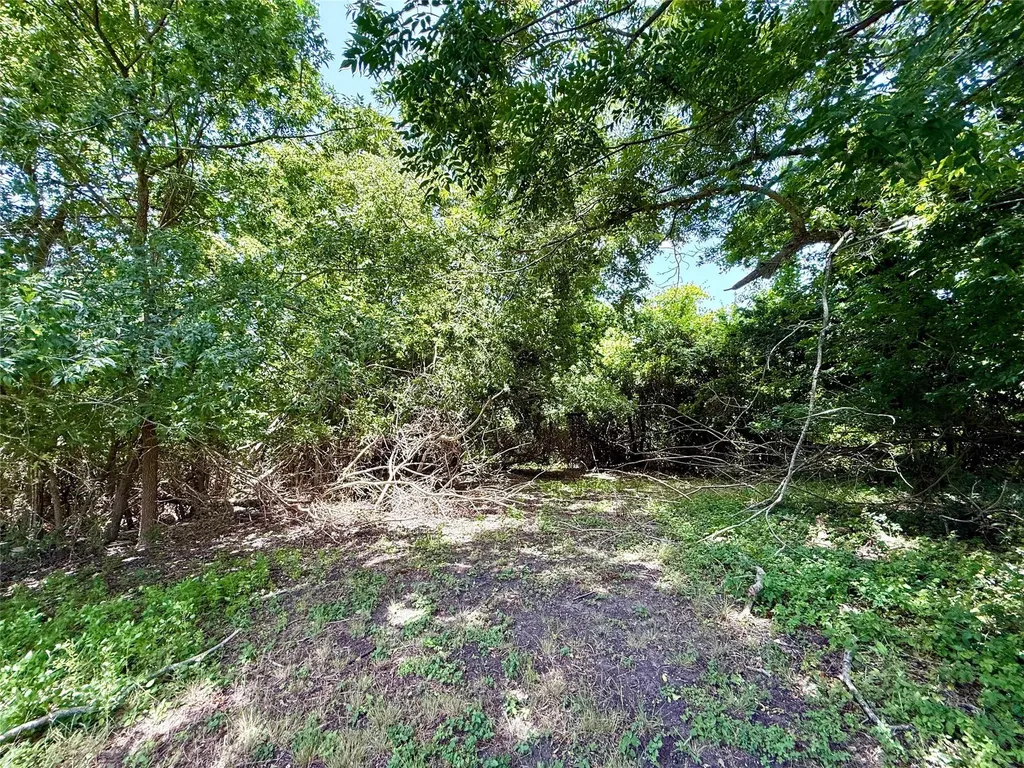 1629 Pecos Street Lockhart TX 78644