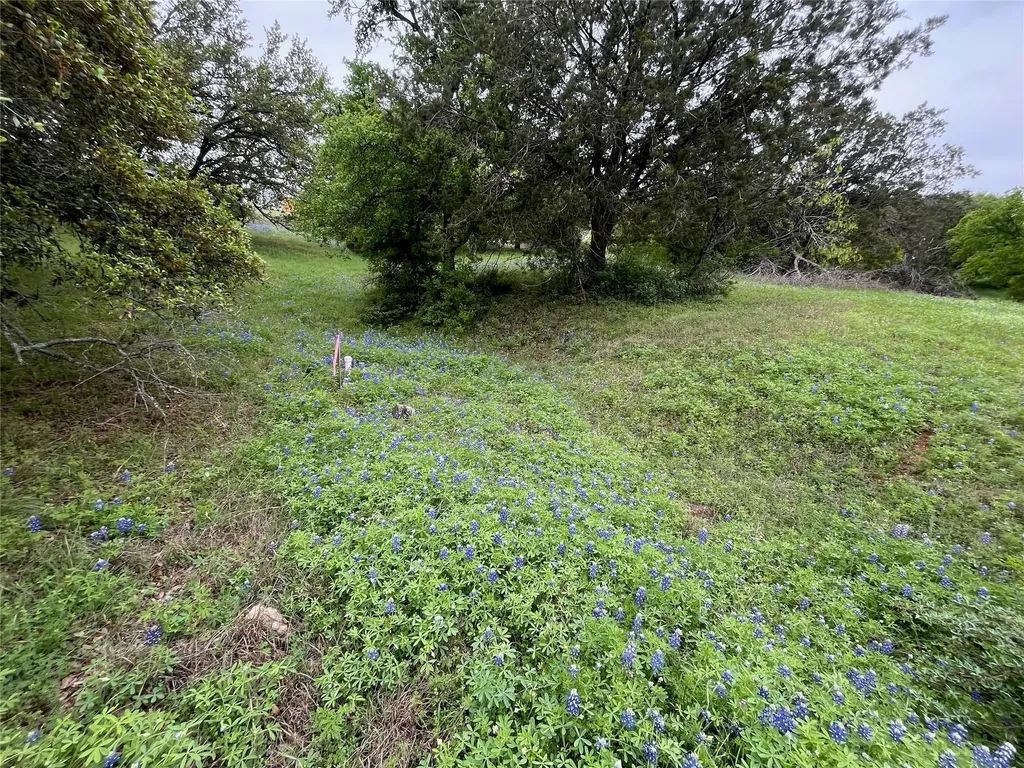 Lot W18100 Moon Cloud/fault Line Horseshoe Bay TX 78639