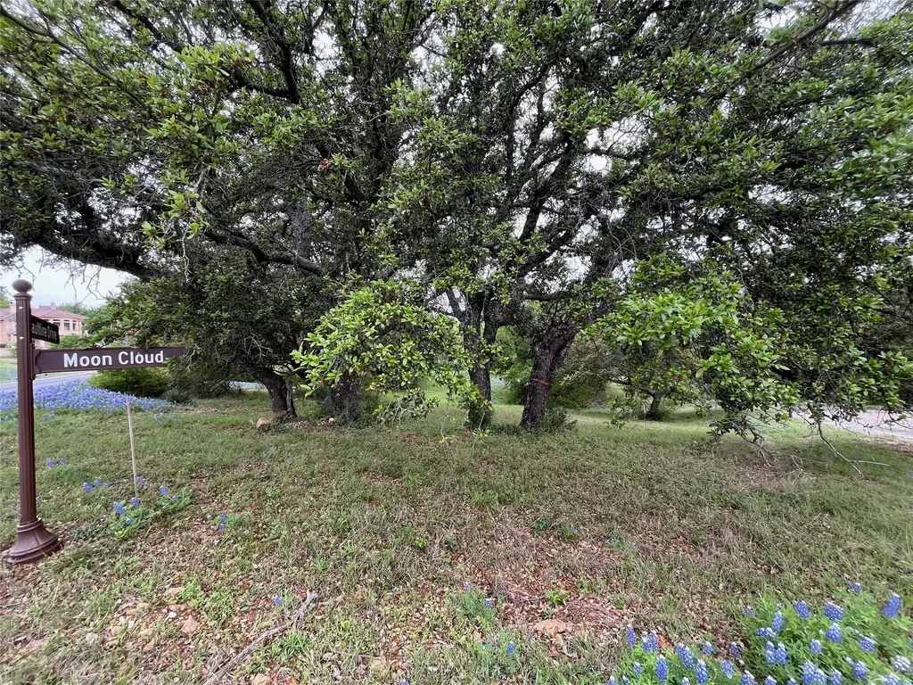 Lot W18100 Moon Cloud/fault Line Horseshoe Bay TX 78639