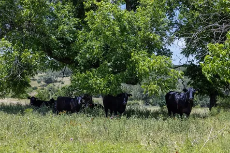 8845 Fm 2657 Briggs TX 78608