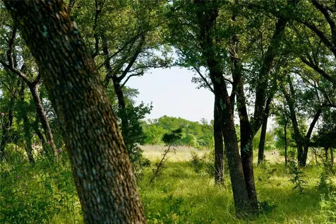 8845 Fm 2657 Briggs TX 78608