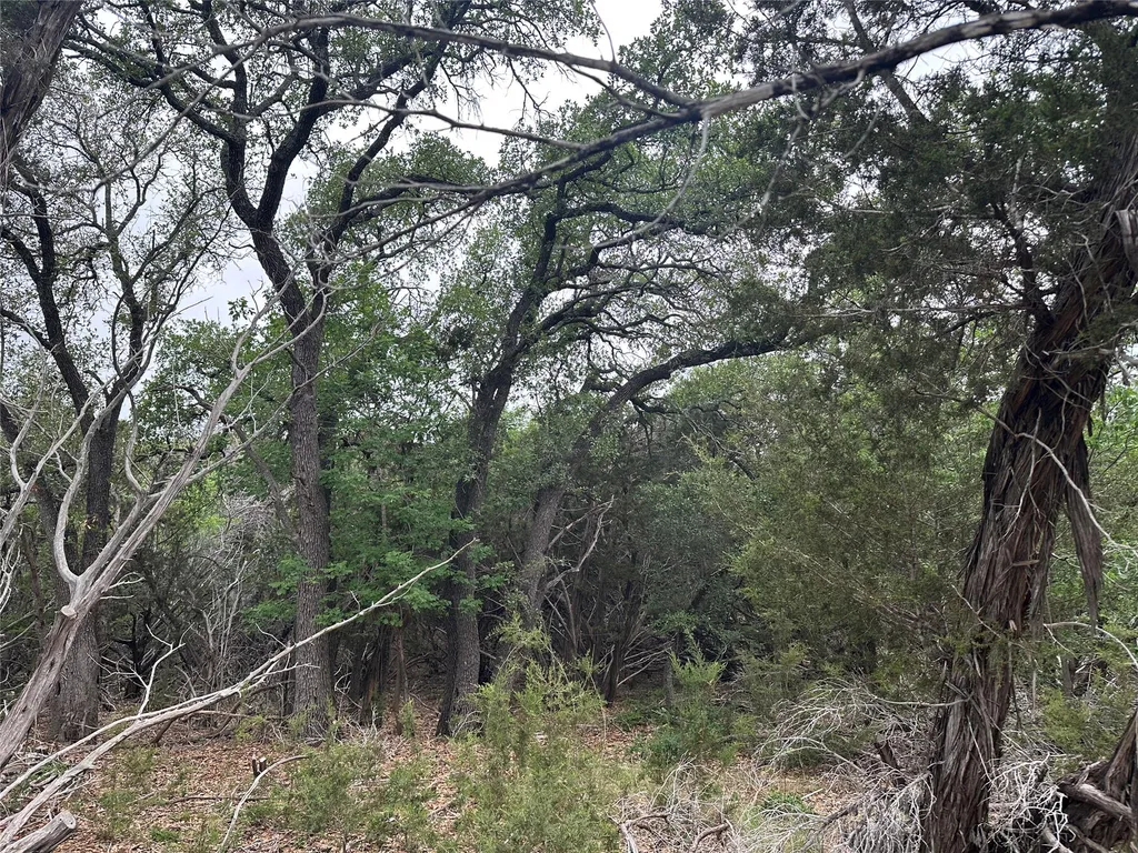 125 Hillcrest Drive Gatesville TX 76528