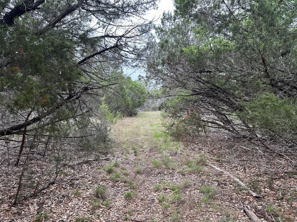 125 Hillcrest Drive Gatesville TX 76528