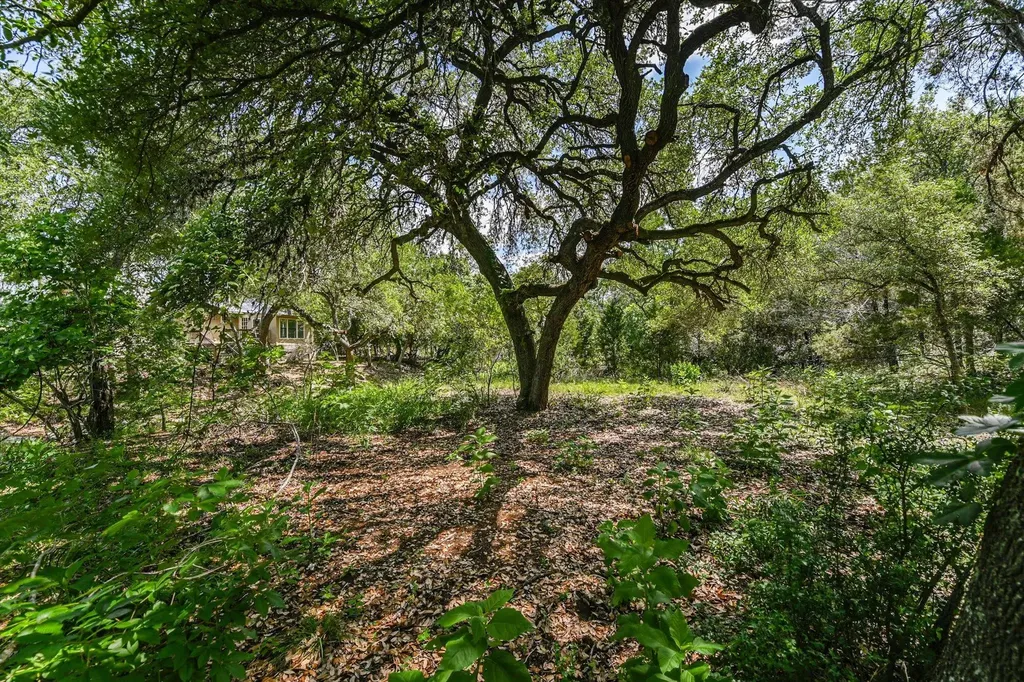 4553 Mccall Creek Road Blanco TX 78606