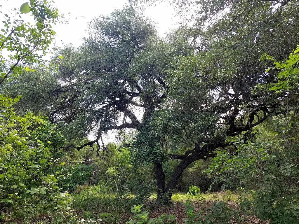 4553 Mccall Creek Road Blanco TX 78606