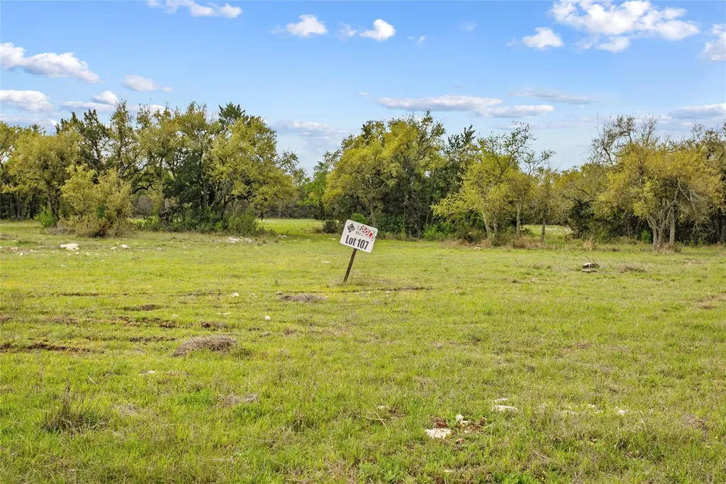 107 E. Flying Owl Drive Johnson City TX 78636