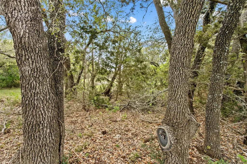 107 E. Flying Owl Drive Johnson City TX 78636