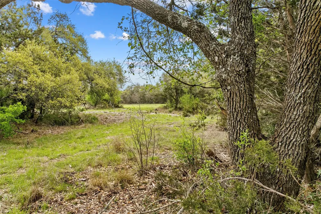 107 E. Flying Owl Drive Johnson City TX 78636