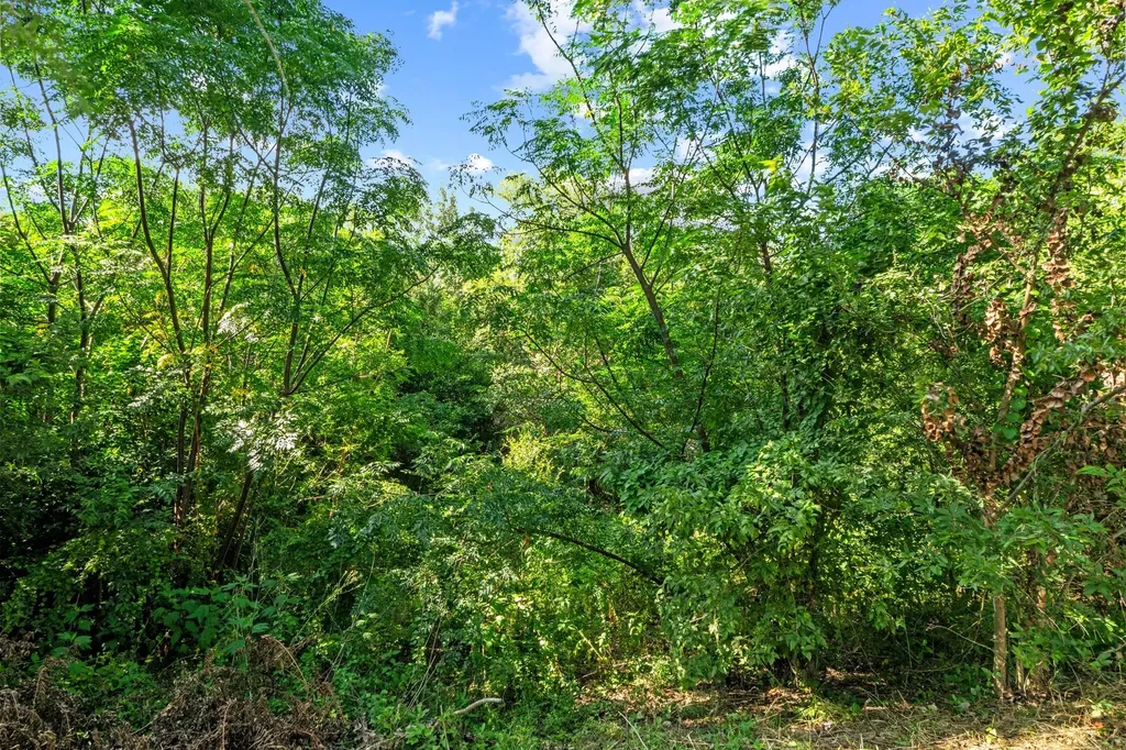 11811 Rotherham Drive Austin TX 78753