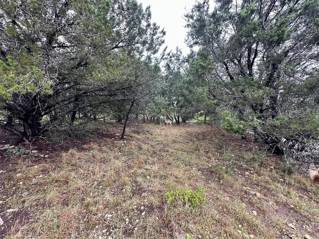 2907 Ticonderoga Cove Lago Vista TX 78645
