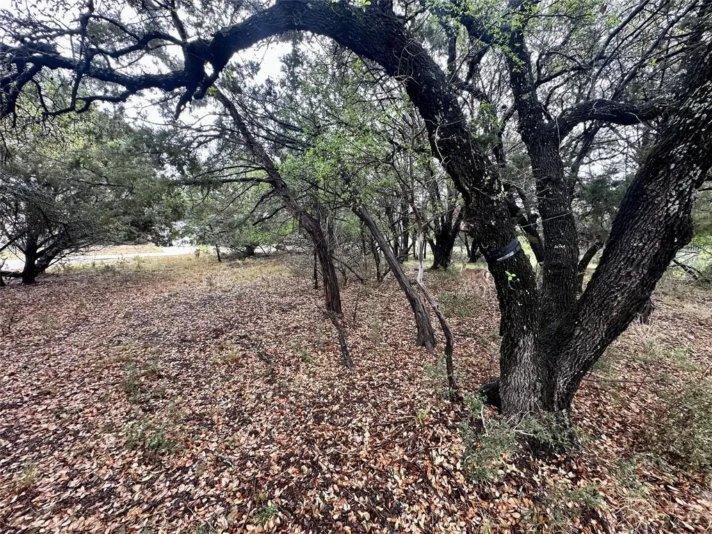 2907 Ticonderoga Cove Lago Vista TX 78645