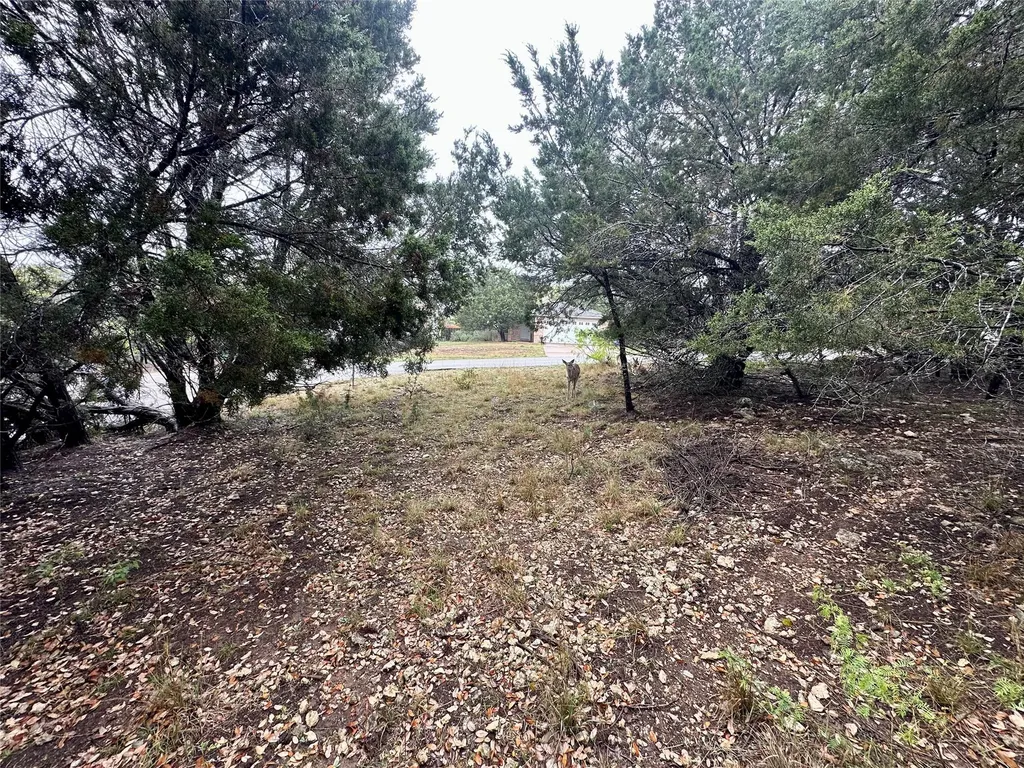 2907 Ticonderoga Cove Lago Vista TX 78645