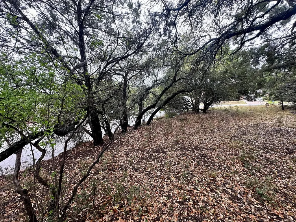 2907 Ticonderoga Cove Lago Vista TX 78645