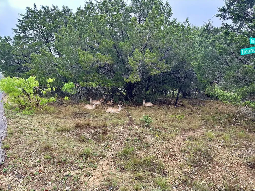 2907 Ticonderoga Cove Lago Vista TX 78645