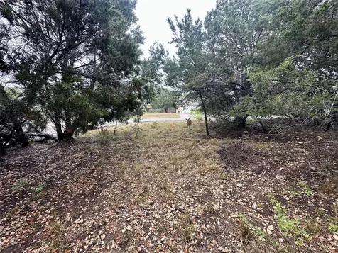 2907 Ticonderoga Cove Lago Vista TX 78645