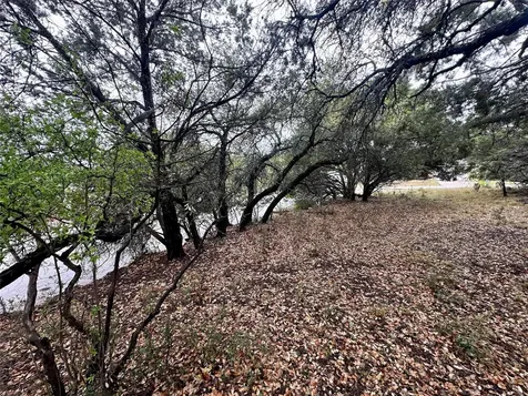 2907 Ticonderoga Cove Lago Vista TX 78645