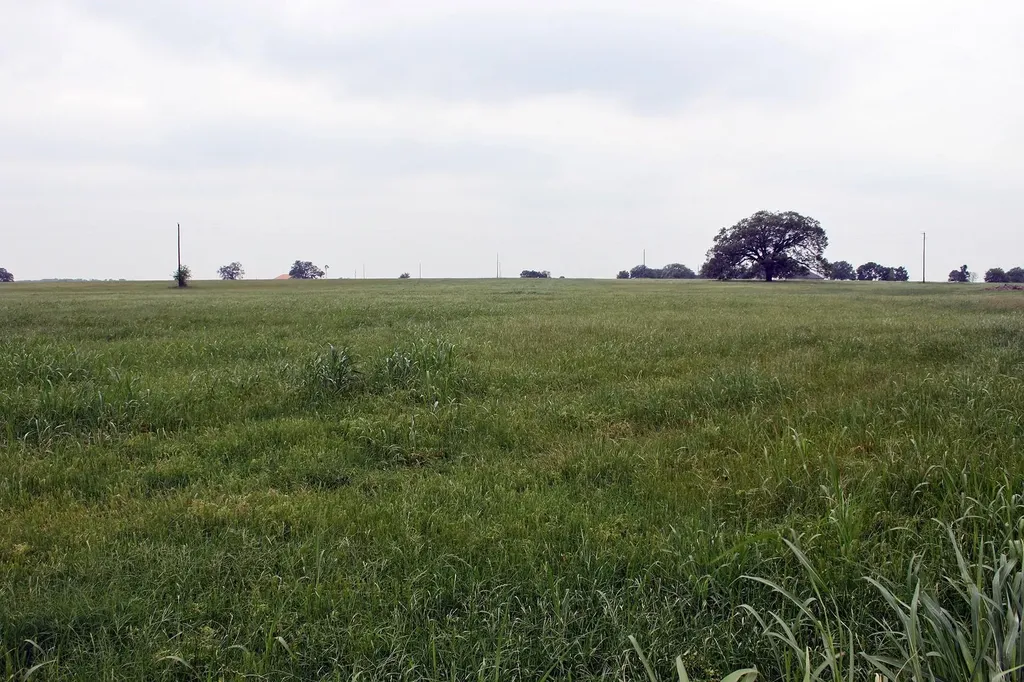 00 Brushy Branch Road Lockhart TX 78644