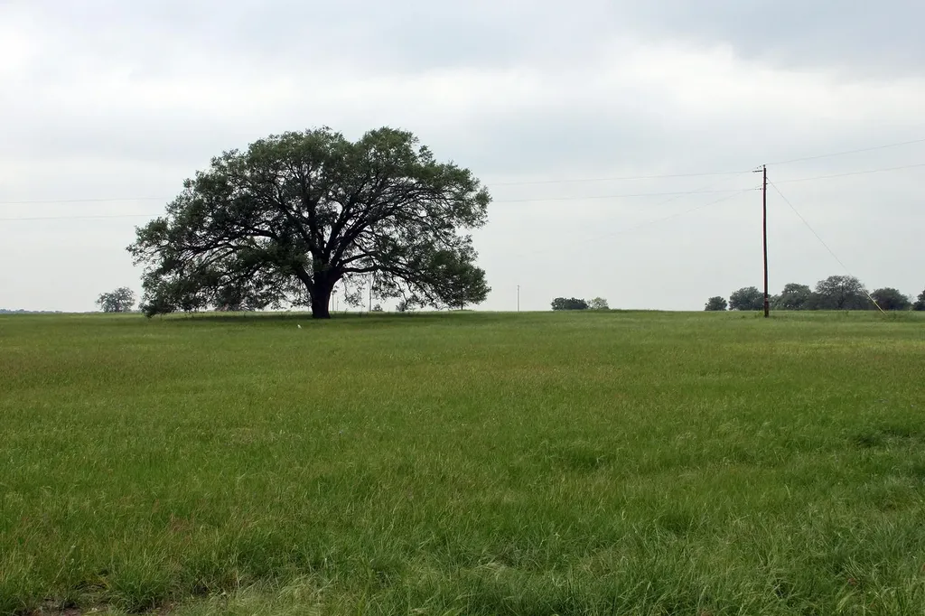 00 Brushy Branch Road Lockhart TX 78644