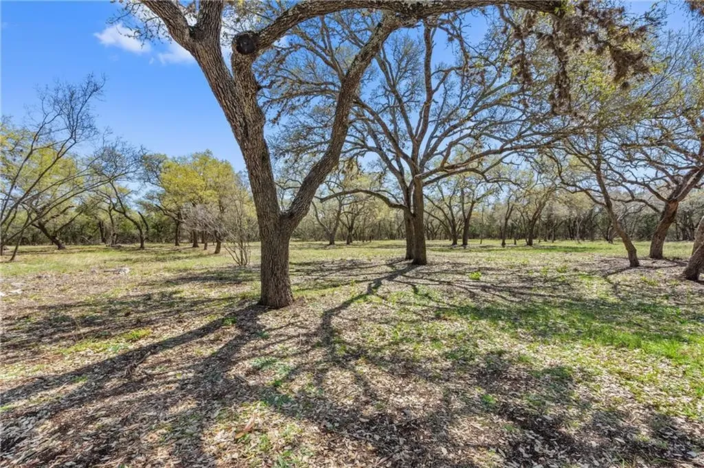 118 E Crestview Drive Johnson City TX 78636