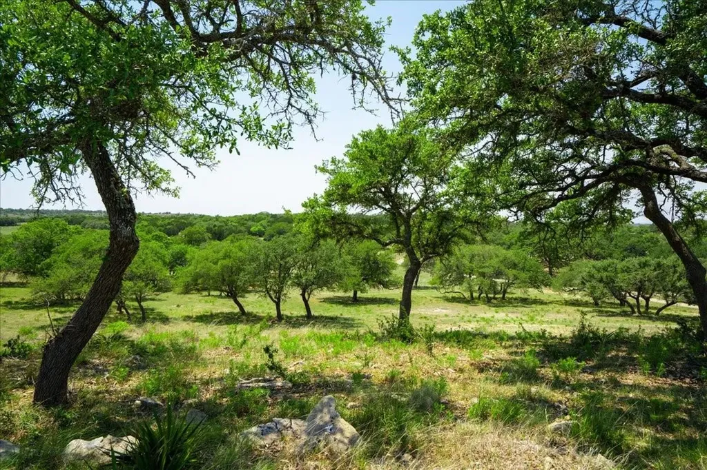 101 Mystic Overlook Drive Dripping Springs TX 78620
