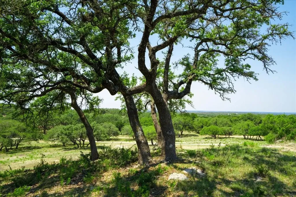 101 Mystic Overlook Drive Dripping Springs TX 78620