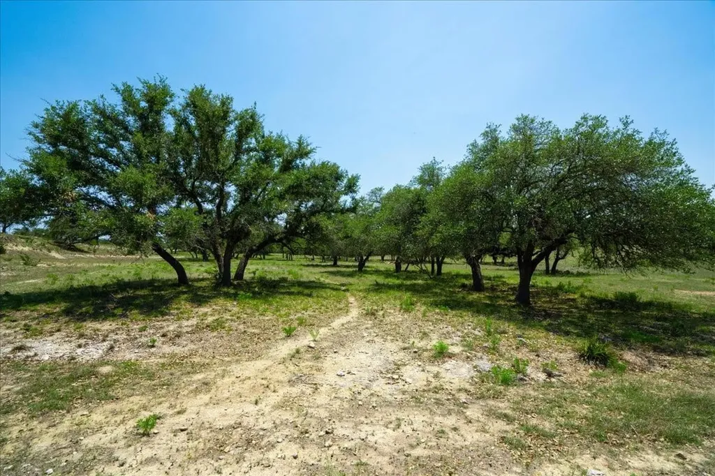 101 Mystic Overlook Drive Dripping Springs TX 78620