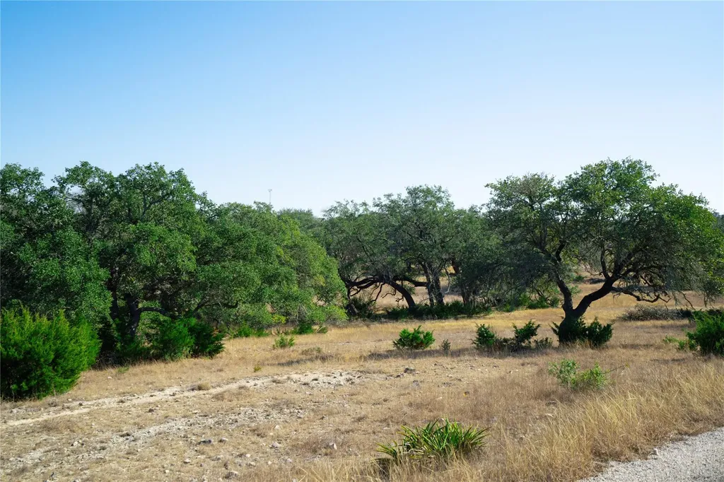 101 Mystic Overlook Drive Dripping Springs TX 78620