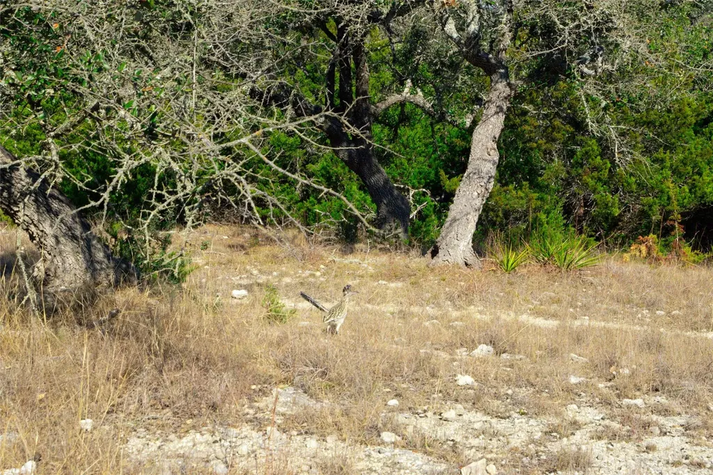 101 Mystic Overlook Drive Dripping Springs TX 78620