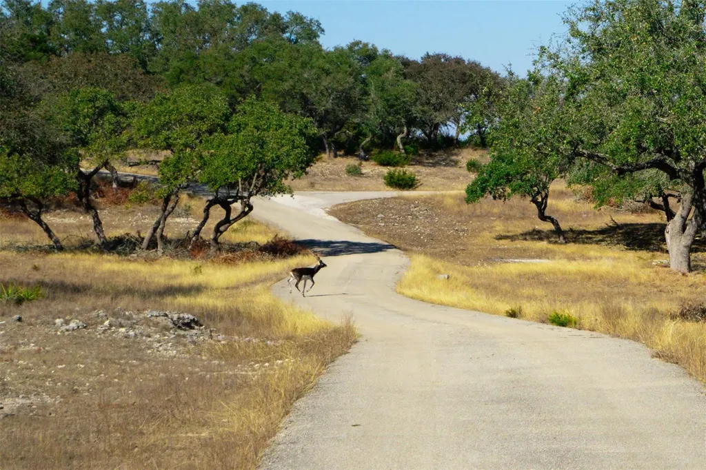 101 Mystic Overlook Drive Dripping Springs TX 78620
