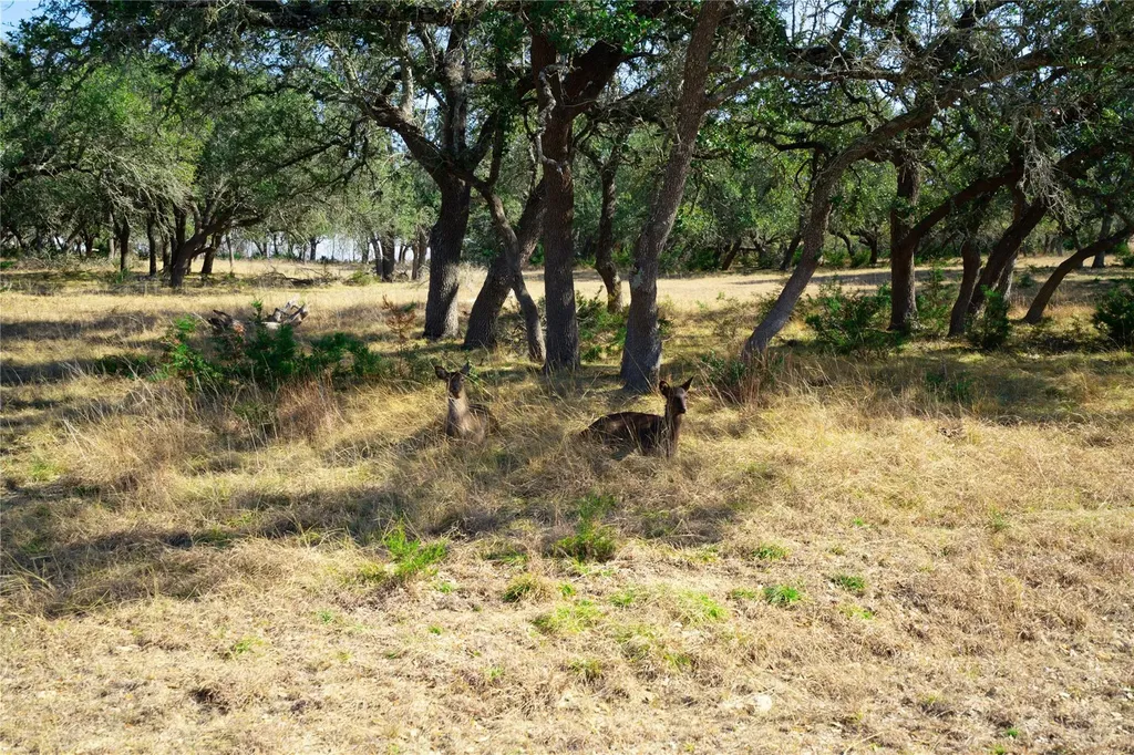 101 Mystic Overlook Drive Dripping Springs TX 78620