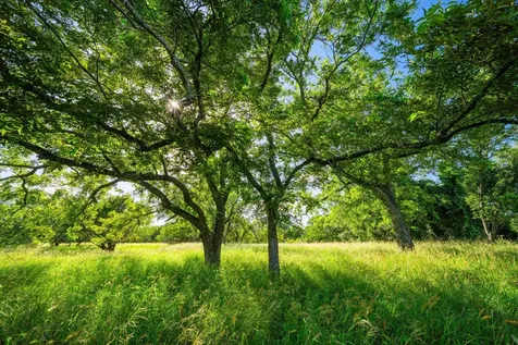 0 Ligon-smith Lane Johnson City TX 78636