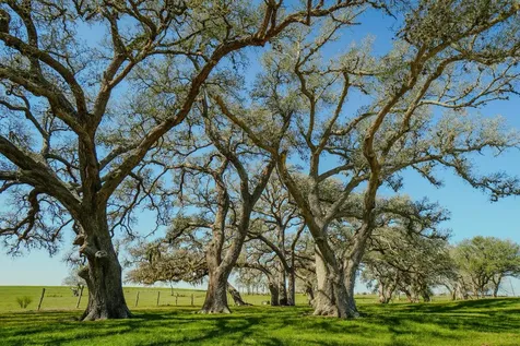 1797 County Road 261 Moulton TX 77975